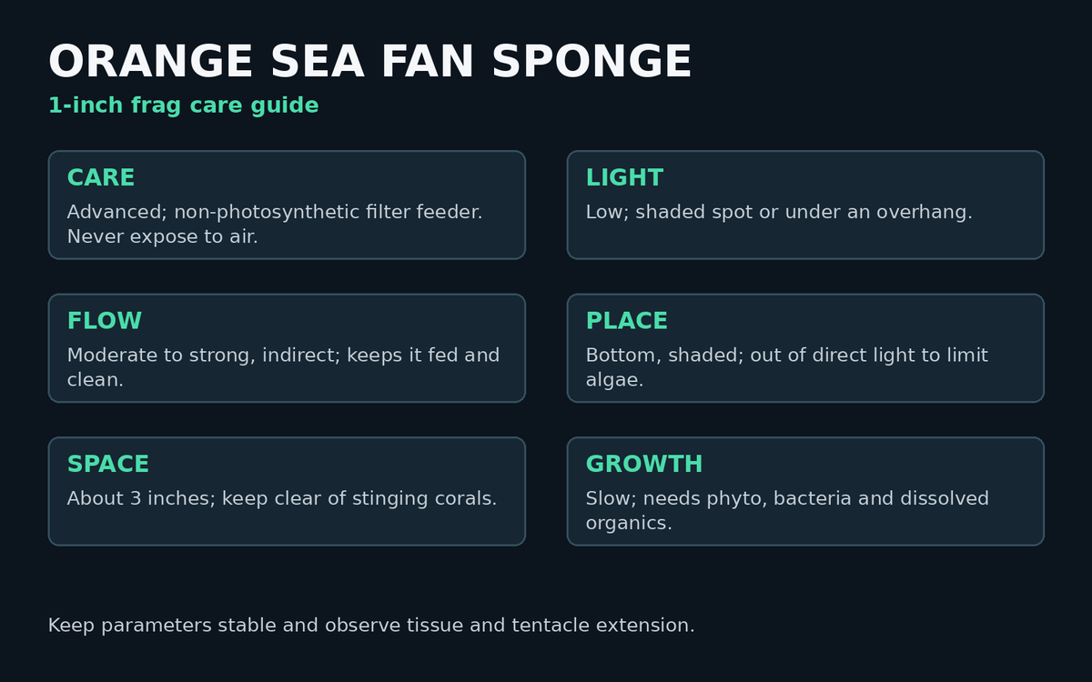Orange Sea Fan Sponge care card