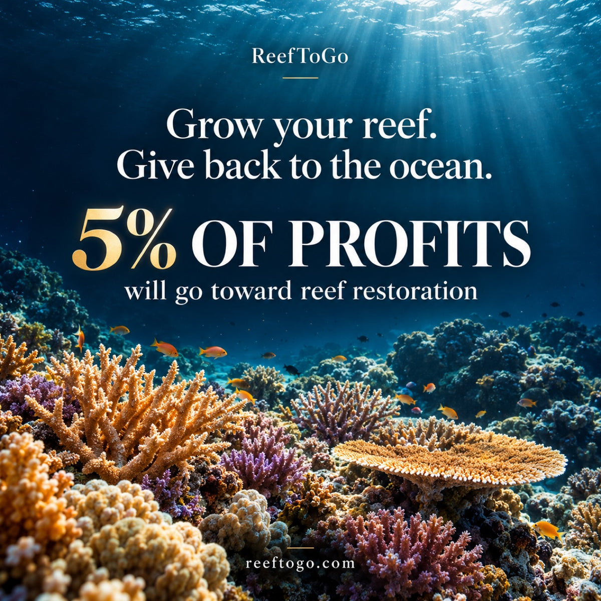 Reef To Go — 5% of profits go toward reef restoration