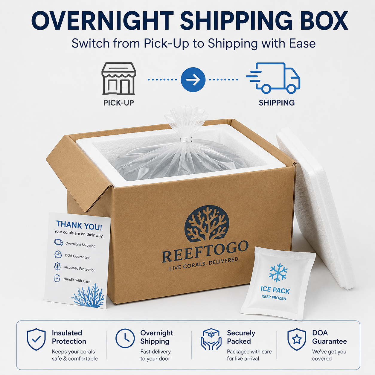 Overnight Shipping Box (calculated at check out)