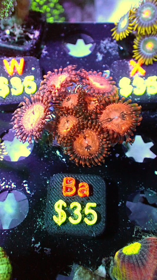 Alien antivenom zoas WYSIWYG Ba