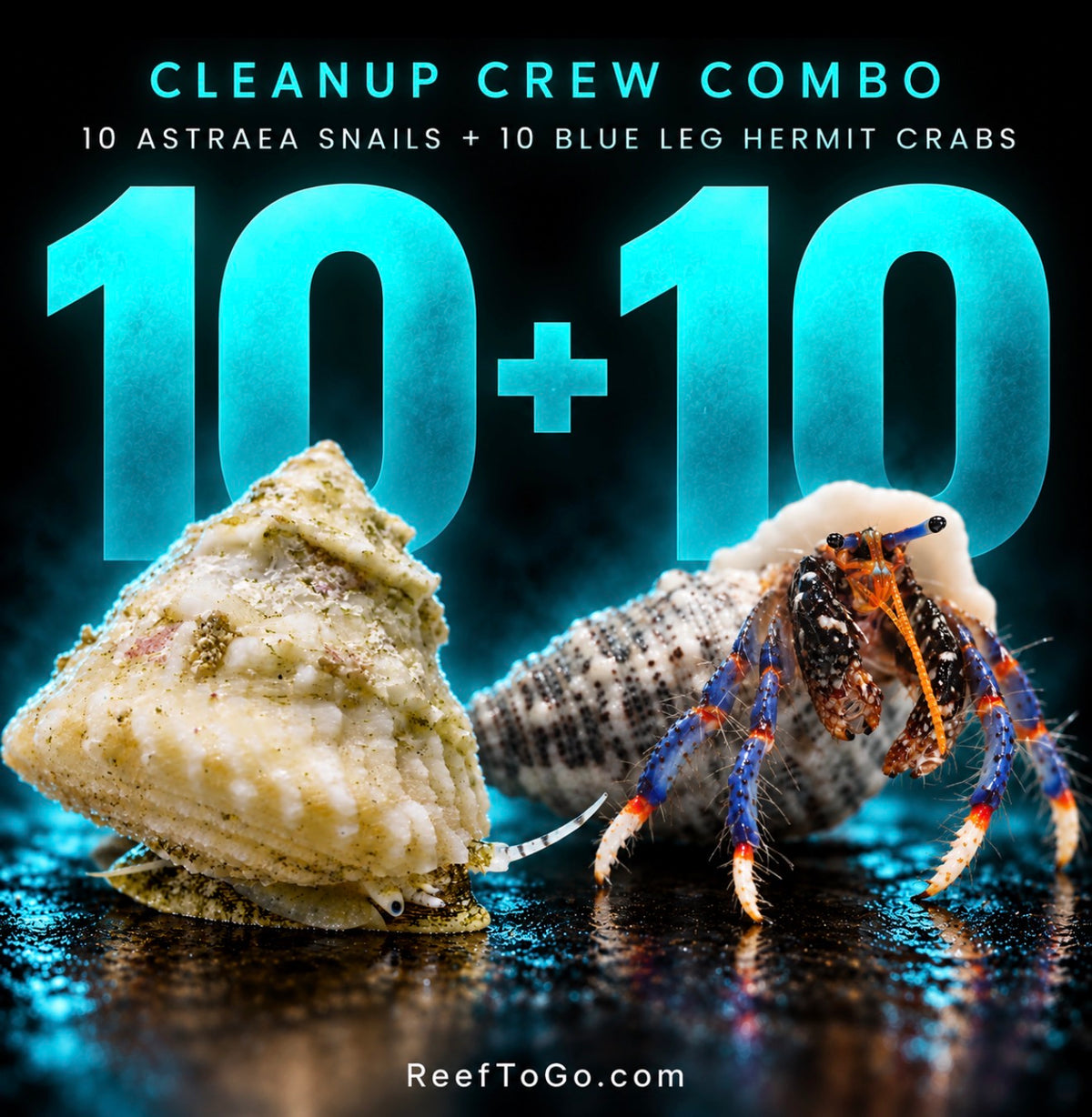 Cleanup crew combo #1