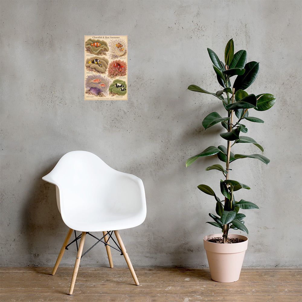 Clownfish & Host Anemones poster on a wall — lifestyle mockup