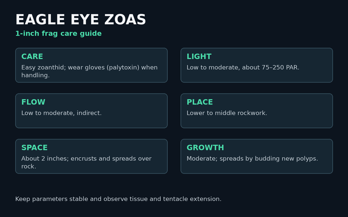 Eagle Eye zoas care card