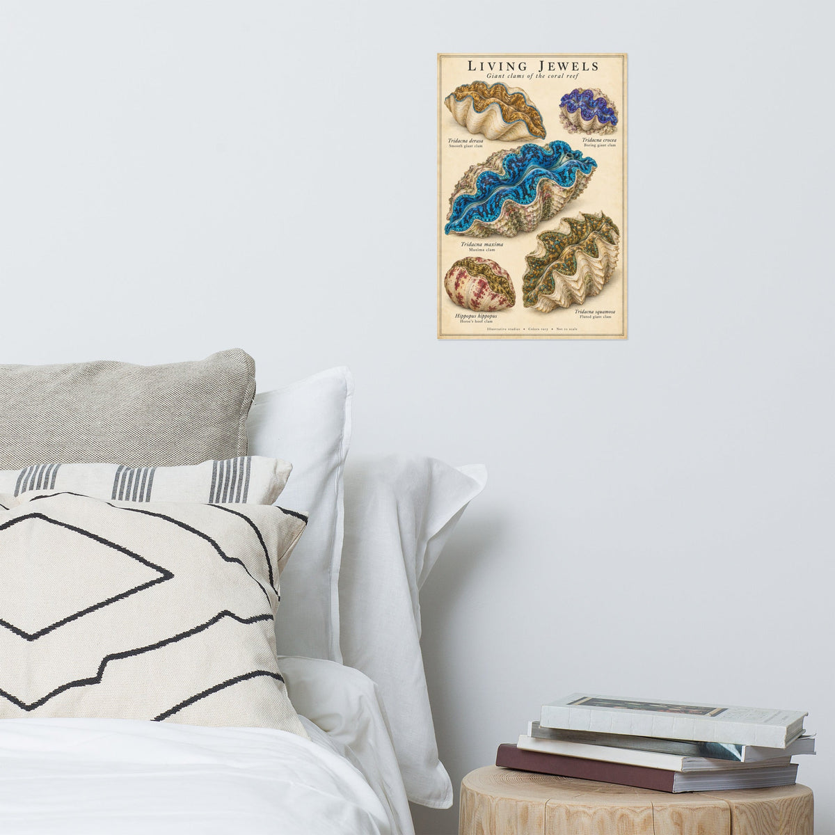 Living Jewels Giant Clams Poster