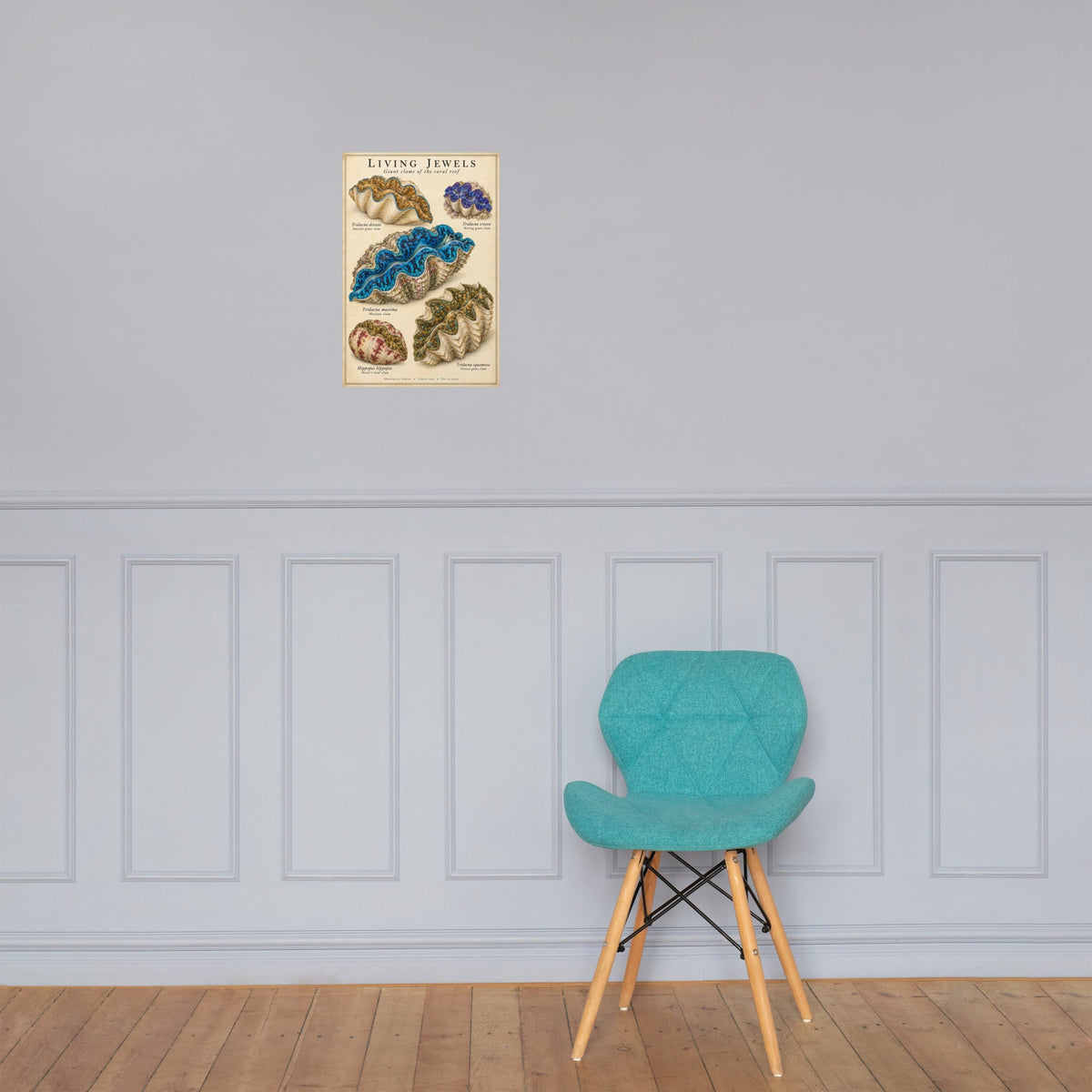 Living Jewels Giant Clams Poster