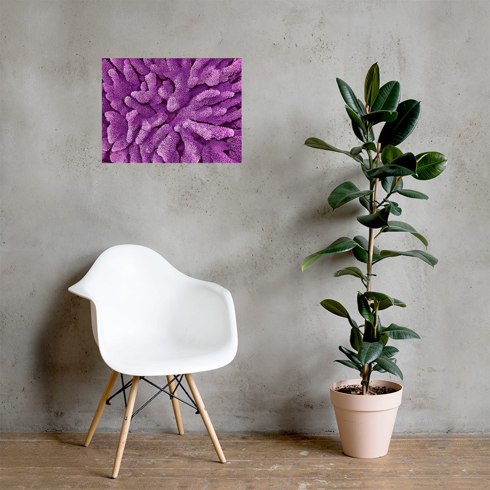 Purple Staghorn Poster