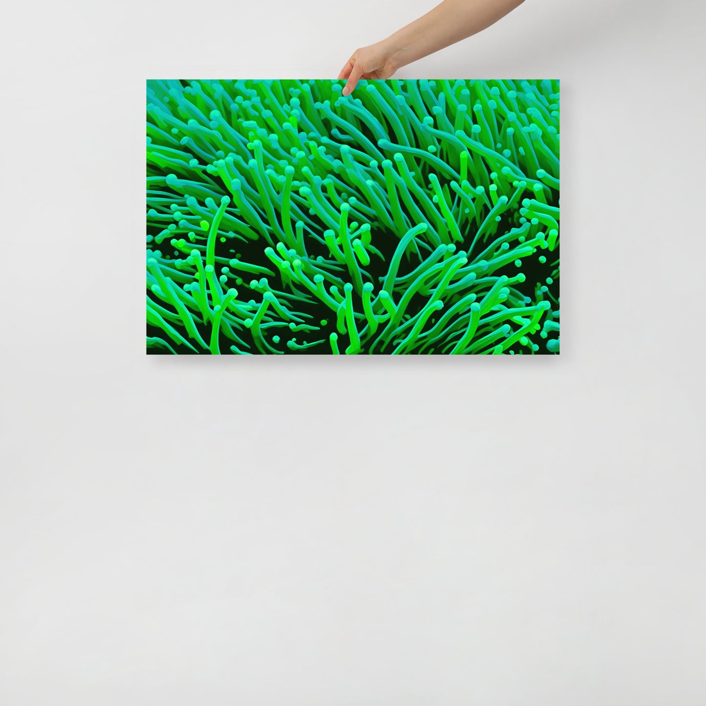 Green Torch Euphyllia Poster