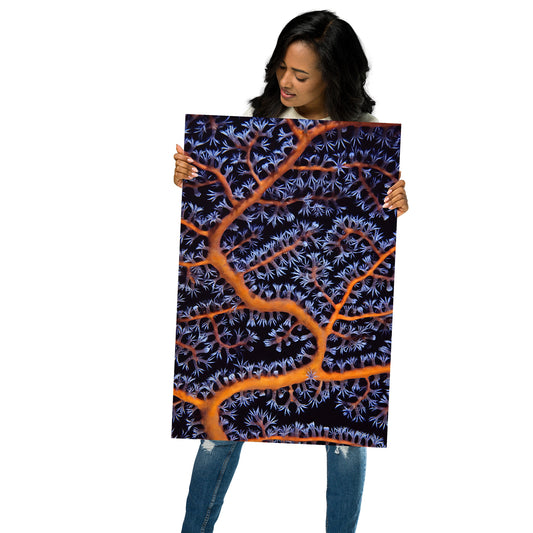 Gorgonian Poster