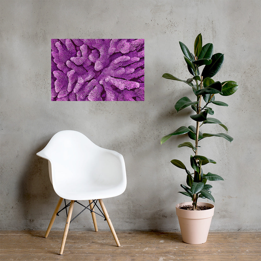 Purple Staghorn Poster