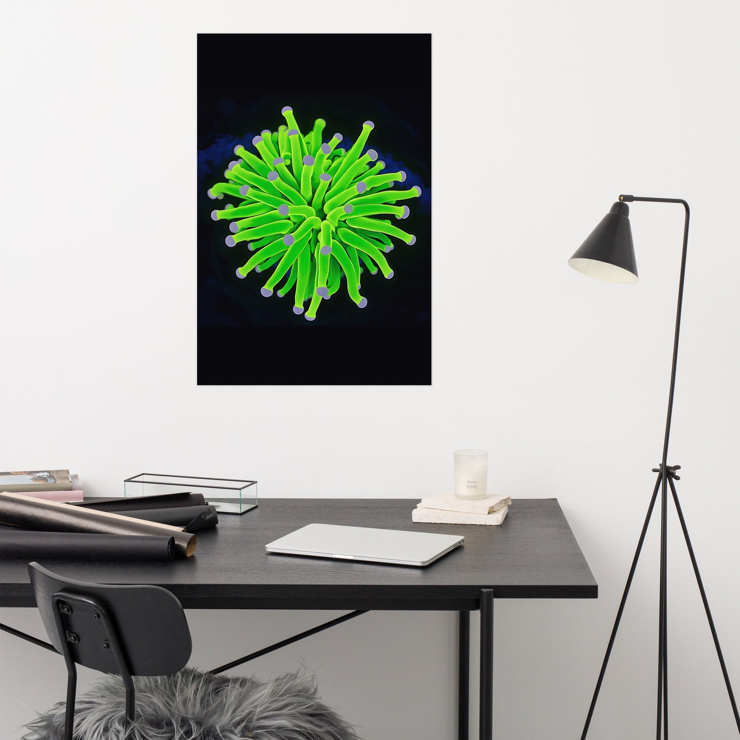 Holy Grail Torch Euphyllia Poster