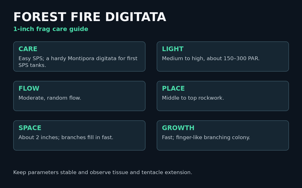 Forest Fire Digitata care card