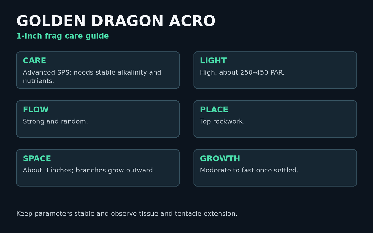Golden Dragon acro care card