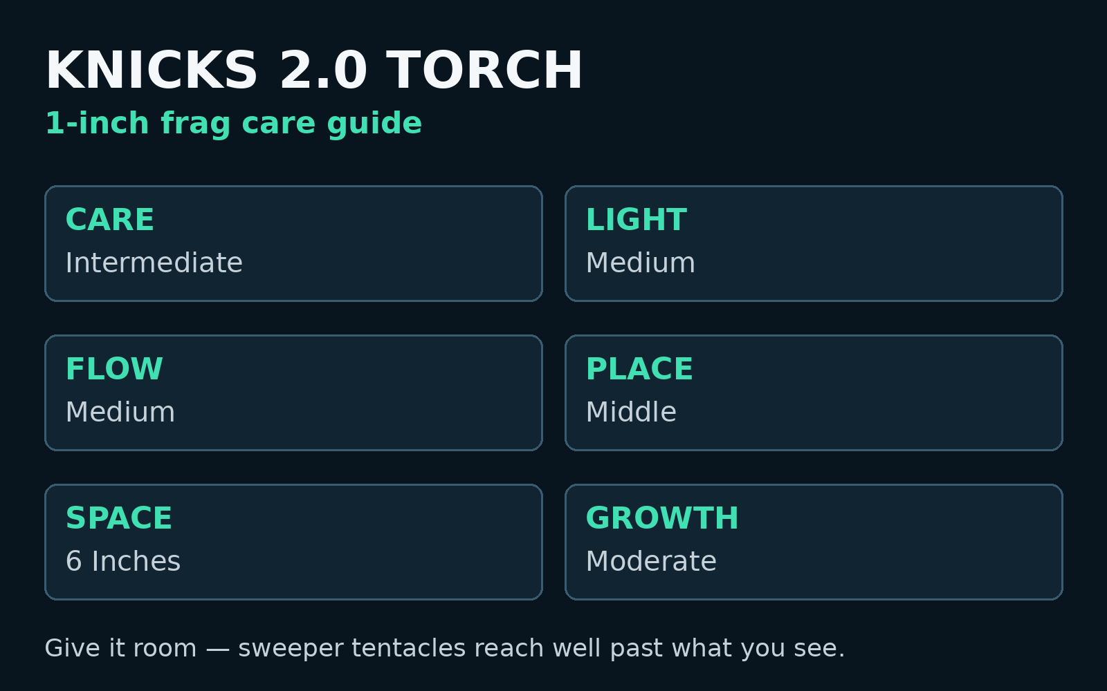 Knicks 2.0 torch care card