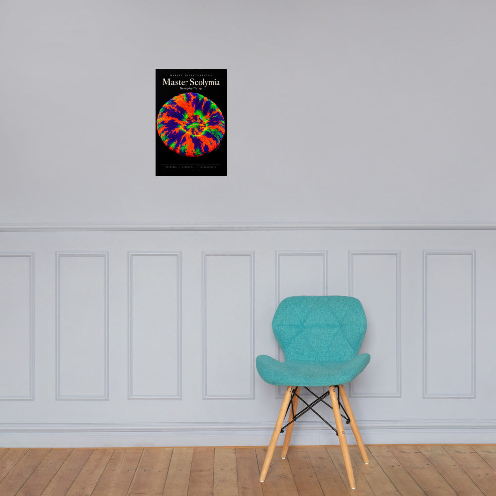 Master Scolymia Poster mockup