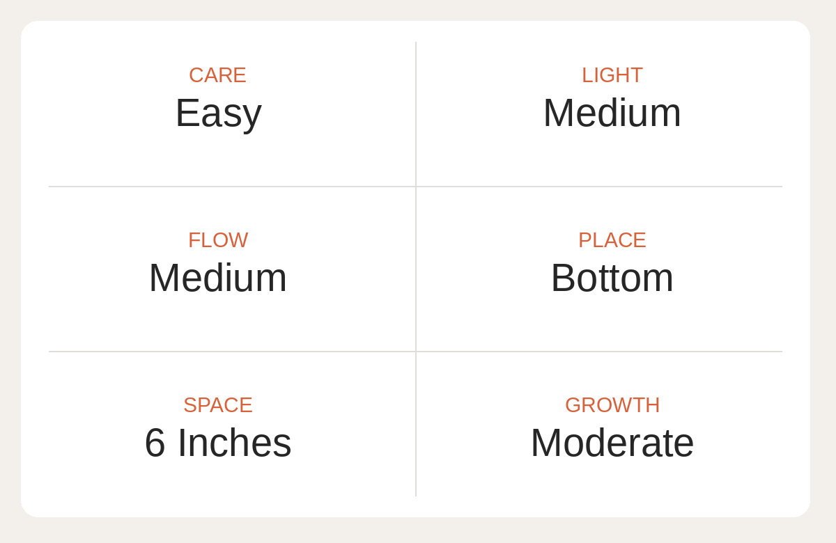 Neon Orange fungia plate care card