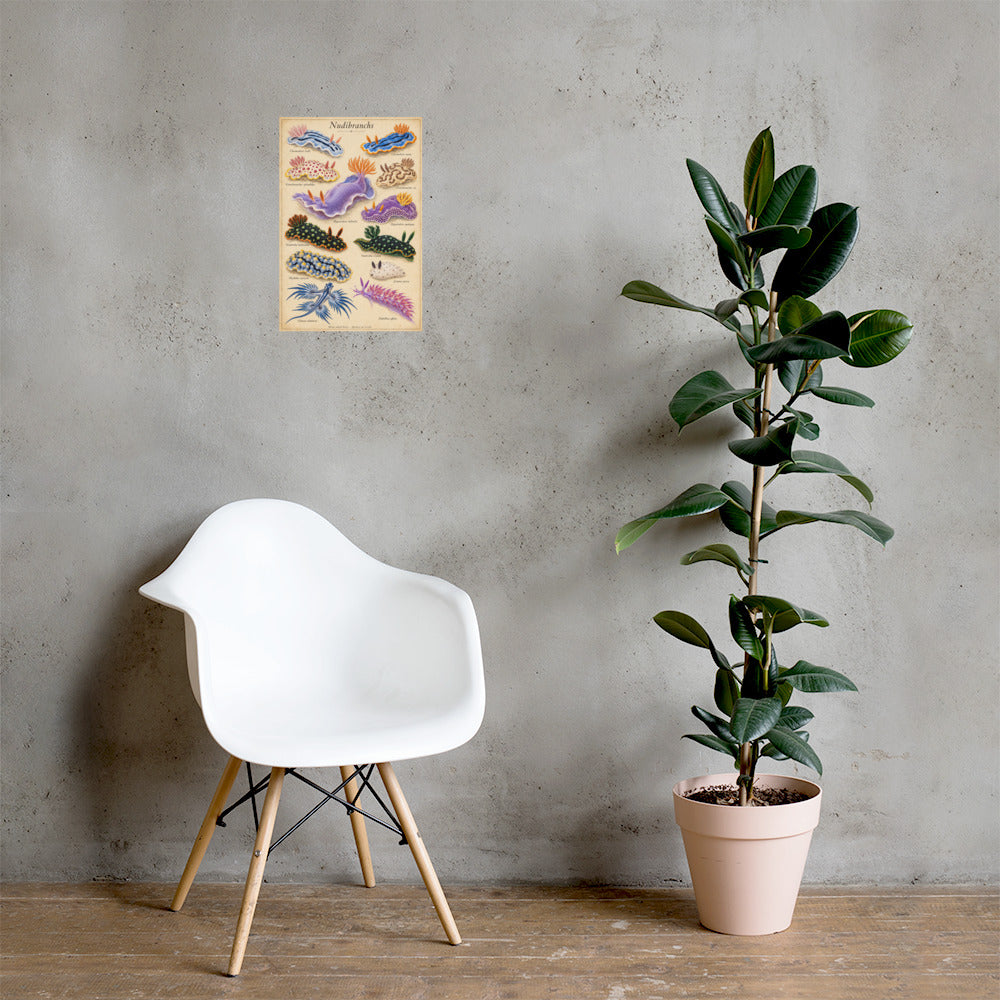 Nudibranchs poster on a wall — lifestyle mockup
