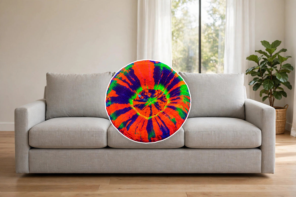Rainbow Scoly Pillow on a couch