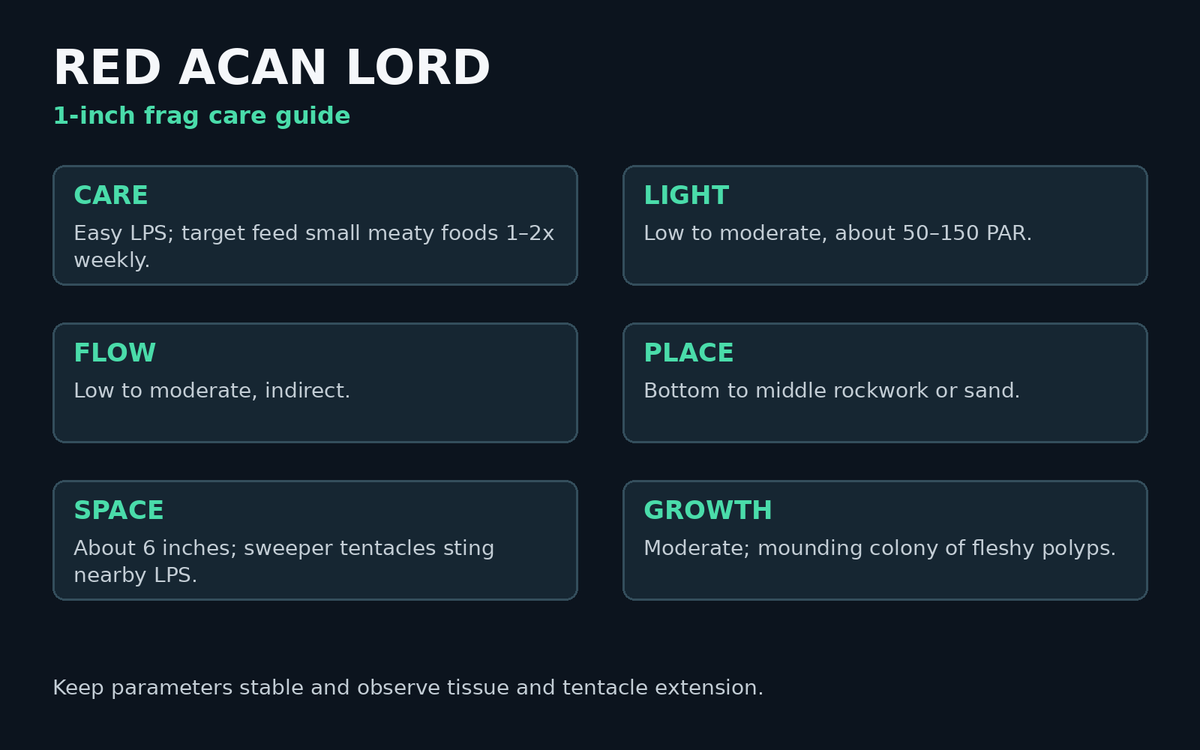 Red Acan Lord care card