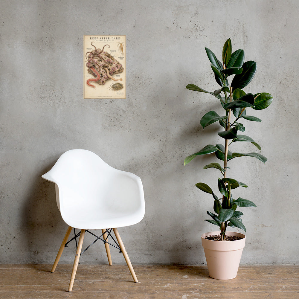 Reef After Dark poster on a wall — lifestyle mockup