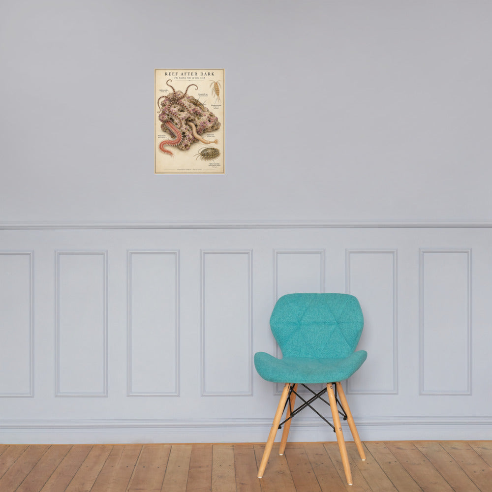 Reef After Dark poster on a wall — lifestyle mockup
