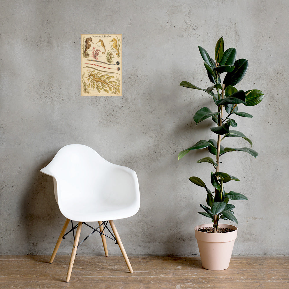 Seahorses & Pipefish poster on a wall — lifestyle mockup