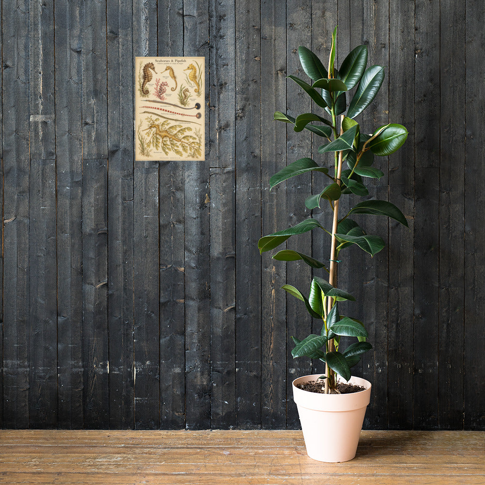 Seahorses & Pipefish poster on a wall — lifestyle mockup